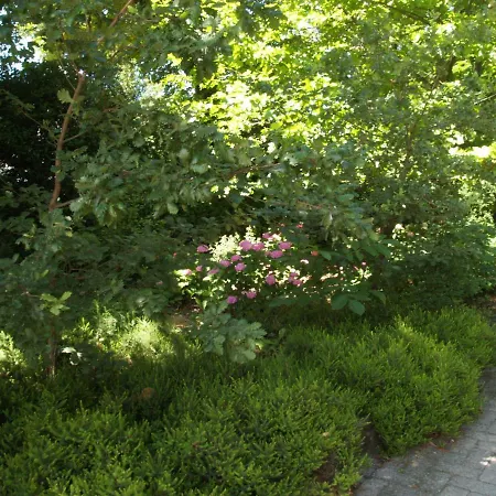 Ghia Apartment Parma