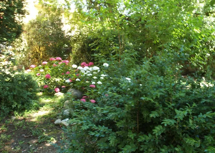 Διαμέρισμα Ghia